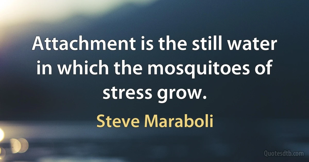 Attachment is the still water in which the mosquitoes of stress grow. (Steve Maraboli)