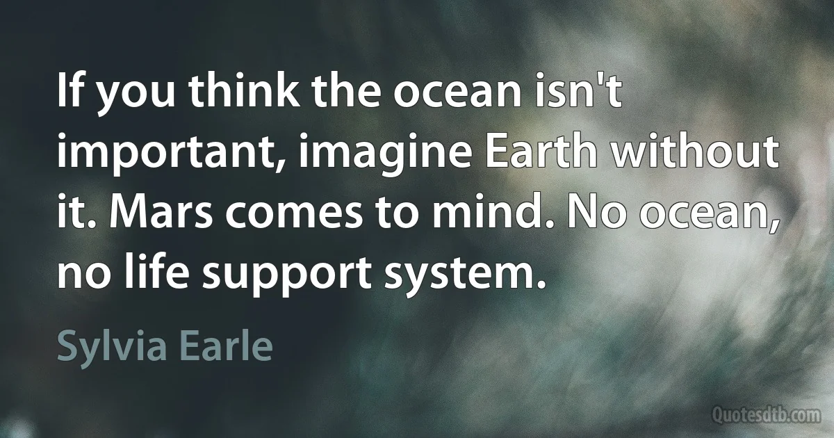 If you think the ocean isn't important, imagine Earth without it. Mars comes to mind. No ocean, no life support system. (Sylvia Earle)