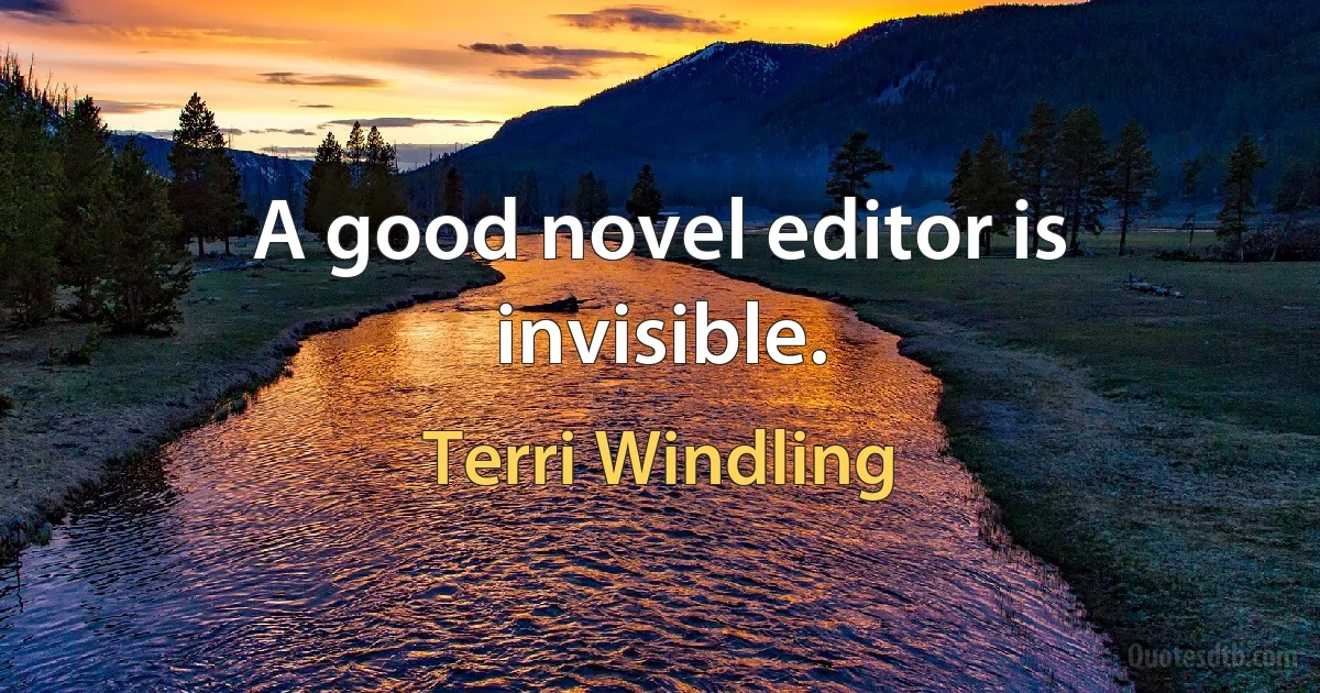 A good novel editor is invisible. (Terri Windling)