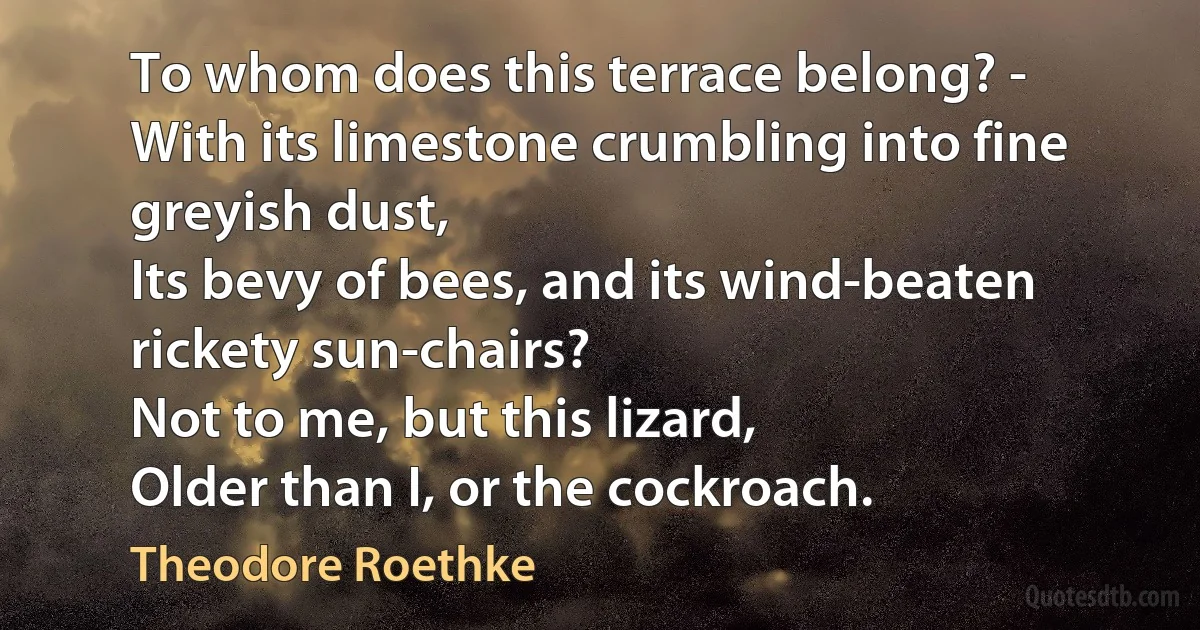 To whom does this terrace belong? -
With its limestone crumbling into fine greyish dust,
Its bevy of bees, and its wind-beaten rickety sun-chairs?
Not to me, but this lizard,
Older than I, or the cockroach. (Theodore Roethke)