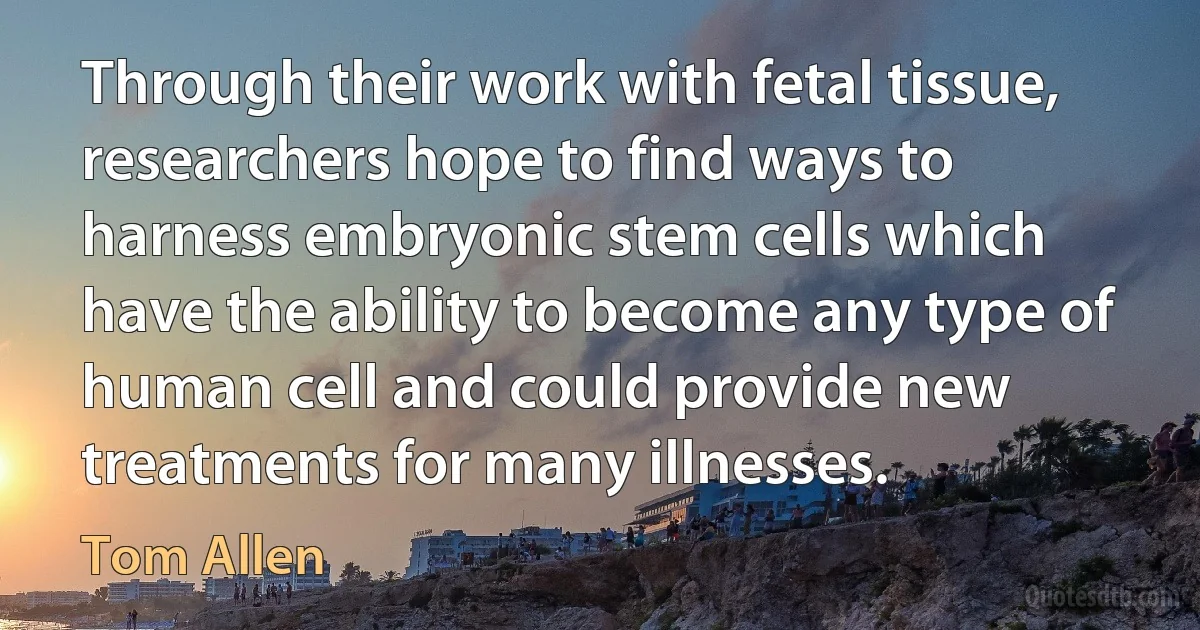 Through their work with fetal tissue, researchers hope to find ways to harness embryonic stem cells which have the ability to become any type of human cell and could provide new treatments for many illnesses. (Tom Allen)