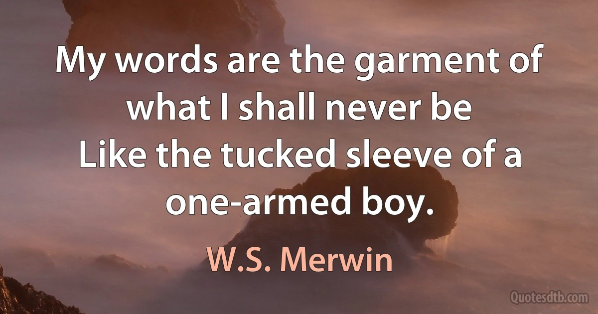 My words are the garment of what I shall never be
Like the tucked sleeve of a one-armed boy. (W.S. Merwin)