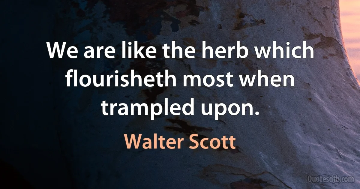 We are like the herb which flourisheth most when trampled upon. (Walter Scott)