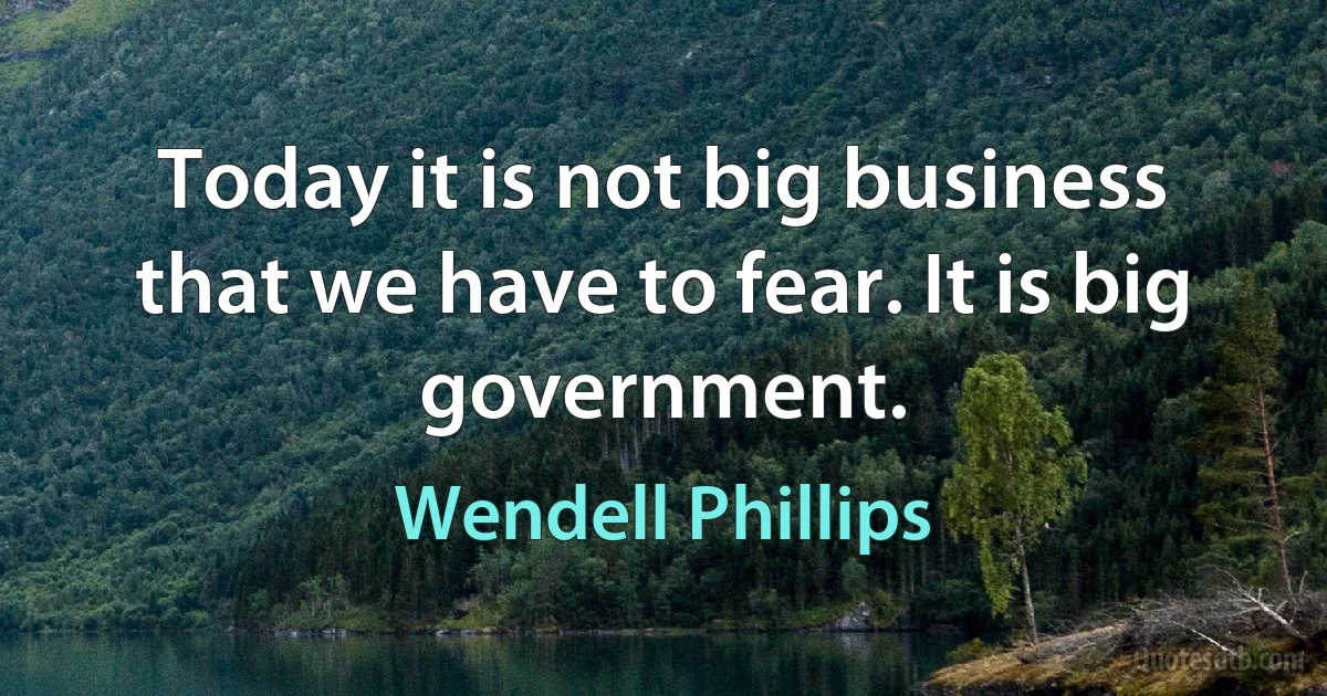 Today it is not big business that we have to fear. It is big government. (Wendell Phillips)