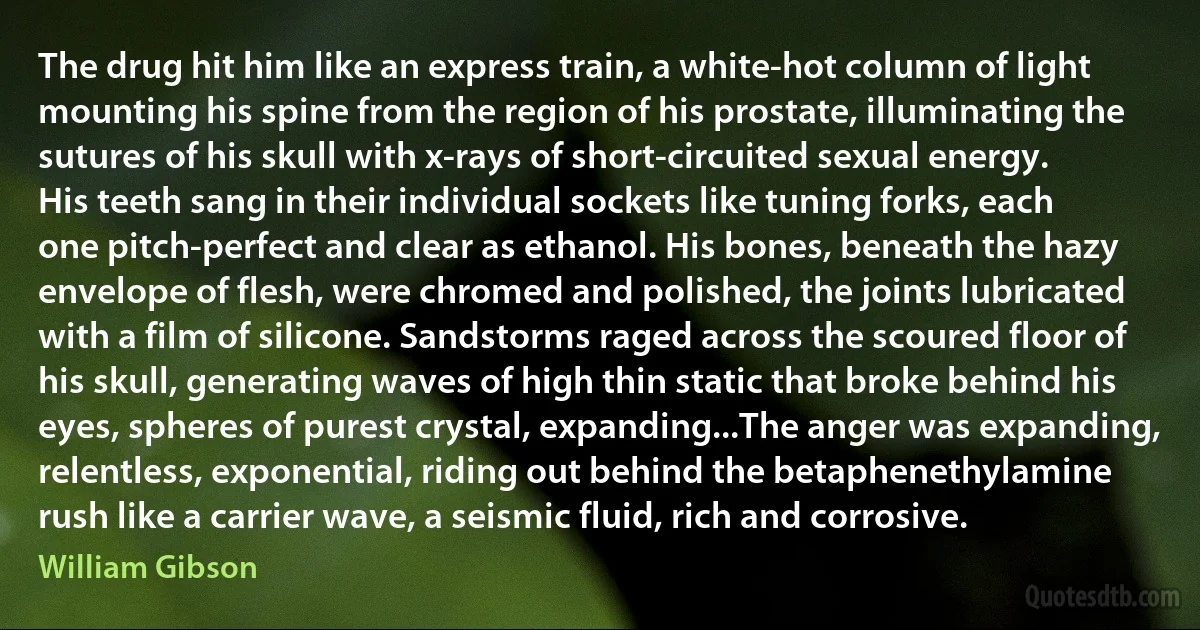 The drug hit him like an express train, a white-hot column of light mounting his spine from the region of his prostate, illuminating the sutures of his skull with x-rays of short-circuited sexual energy. His teeth sang in their individual sockets like tuning forks, each one pitch-perfect and clear as ethanol. His bones, beneath the hazy envelope of flesh, were chromed and polished, the joints lubricated with a film of silicone. Sandstorms raged across the scoured floor of his skull, generating waves of high thin static that broke behind his eyes, spheres of purest crystal, expanding...The anger was expanding, relentless, exponential, riding out behind the betaphenethylamine rush like a carrier wave, a seismic fluid, rich and corrosive. (William Gibson)