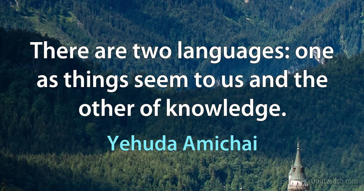 There are two languages: one as things seem to us and the other of knowledge. (Yehuda Amichai)