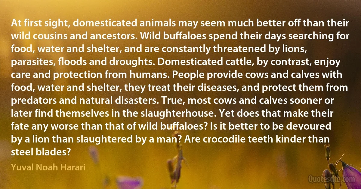 At first sight, domesticated animals may seem much better off than their wild cousins and ancestors. Wild buffaloes spend their days searching for food, water and shelter, and are constantly threatened by lions, parasites, floods and droughts. Domesticated cattle, by contrast, enjoy care and protection from humans. People provide cows and calves with food, water and shelter, they treat their diseases, and protect them from predators and natural disasters. True, most cows and calves sooner or later find themselves in the slaughterhouse. Yet does that make their fate any worse than that of wild buffaloes? Is it better to be devoured by a lion than slaughtered by a man? Are crocodile teeth kinder than steel blades? (Yuval Noah Harari)