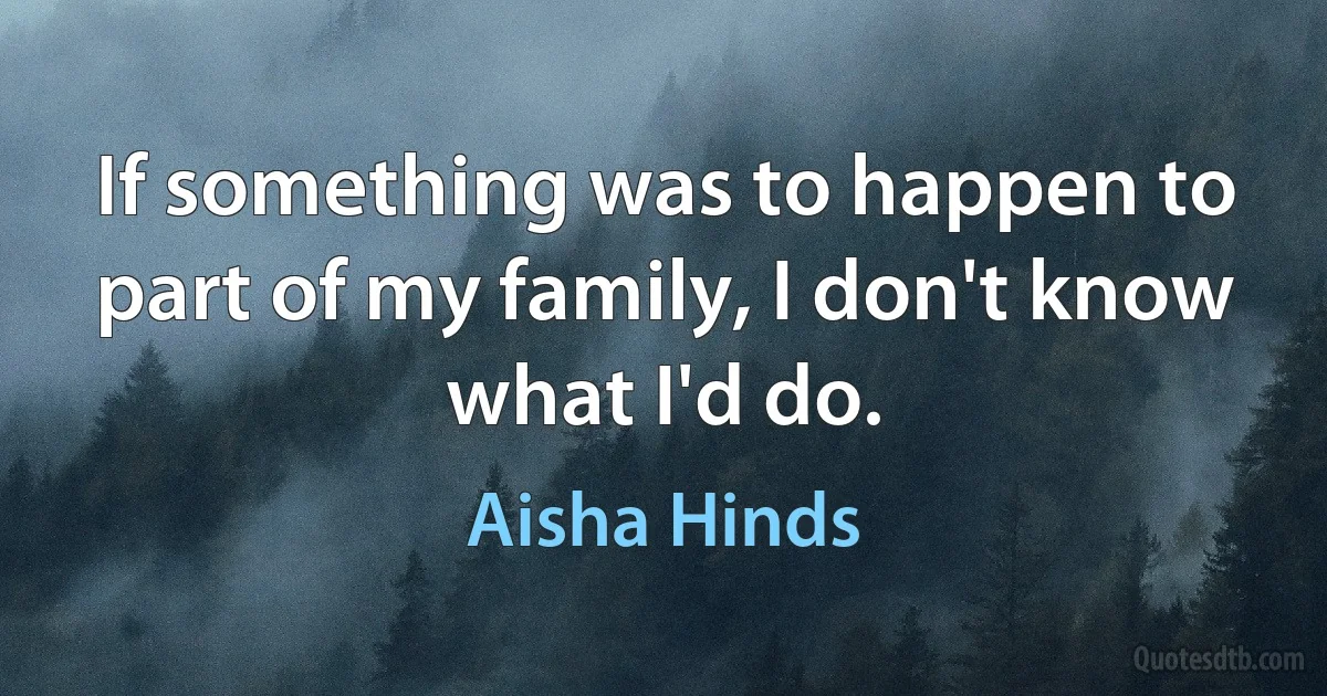 If something was to happen to part of my family, I don't know what I'd do. (Aisha Hinds)