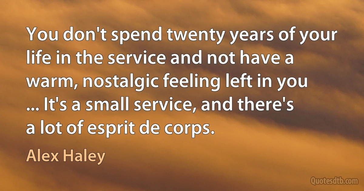 You don't spend twenty years of your life in the service and not have a warm, nostalgic feeling left in you ... It's a small service, and there's a lot of esprit de corps. (Alex Haley)