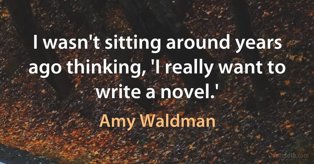 I wasn't sitting around years ago thinking, 'I really want to write a novel.' (Amy Waldman)