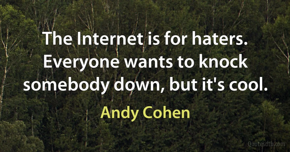 The Internet is for haters. Everyone wants to knock somebody down, but it's cool. (Andy Cohen)