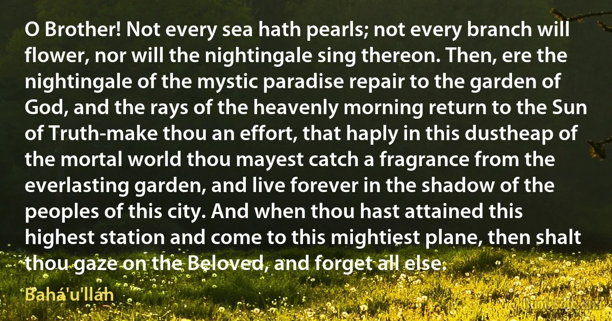 O Brother! Not every sea hath pearls; not every branch will flower, nor will the nightingale sing thereon. Then, ere the nightingale of the mystic paradise repair to the garden of God, and the rays of the heavenly morning return to the Sun of Truth-make thou an effort, that haply in this dustheap of the mortal world thou mayest catch a fragrance from the everlasting garden, and live forever in the shadow of the peoples of this city. And when thou hast attained this highest station and come to this mightiest plane, then shalt thou gaze on the Beloved, and forget all else. (Bahá'u'lláh)