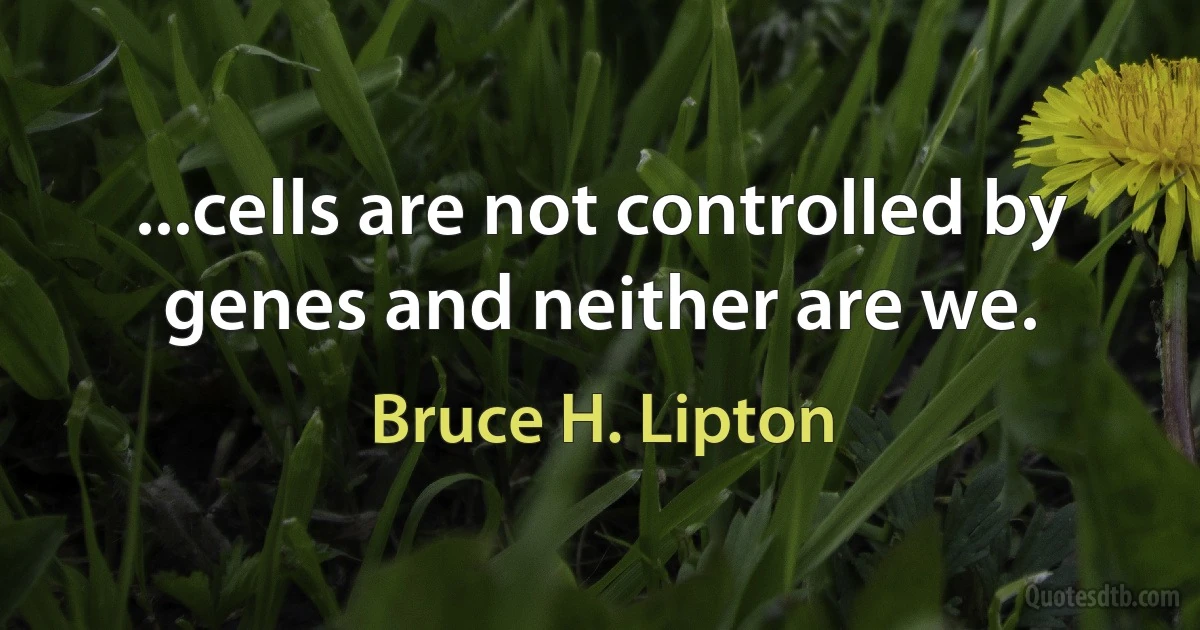 ...cells are not controlled by genes and neither are we. (Bruce H. Lipton)