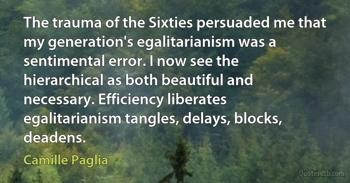 The trauma of the Sixties persuaded me that my generation's egalitarianism was a sentimental error. I now see the hierarchical as both beautiful and necessary. Efficiency liberates egalitarianism tangles, delays, blocks, deadens. (Camille Paglia)