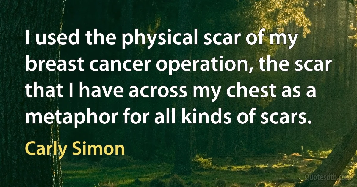 I used the physical scar of my breast cancer operation, the scar that I have across my chest as a metaphor for all kinds of scars. (Carly Simon)