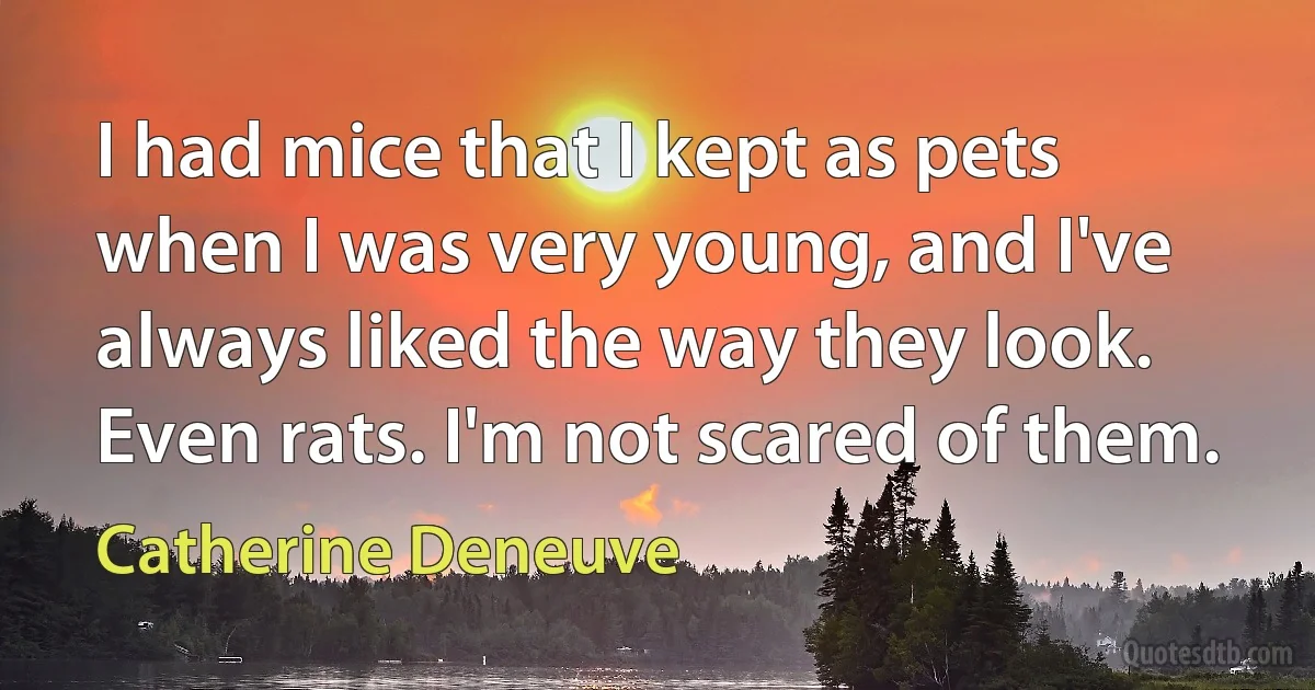 I had mice that I kept as pets when I was very young, and I've always liked the way they look. Even rats. I'm not scared of them. (Catherine Deneuve)