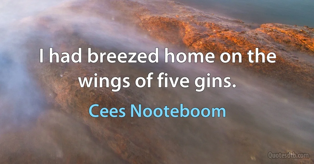 I had breezed home on the wings of five gins. (Cees Nooteboom)