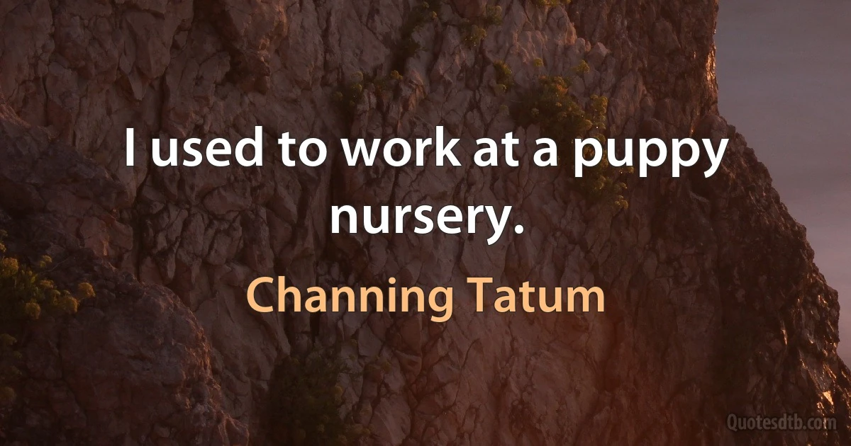 I used to work at a puppy nursery. (Channing Tatum)