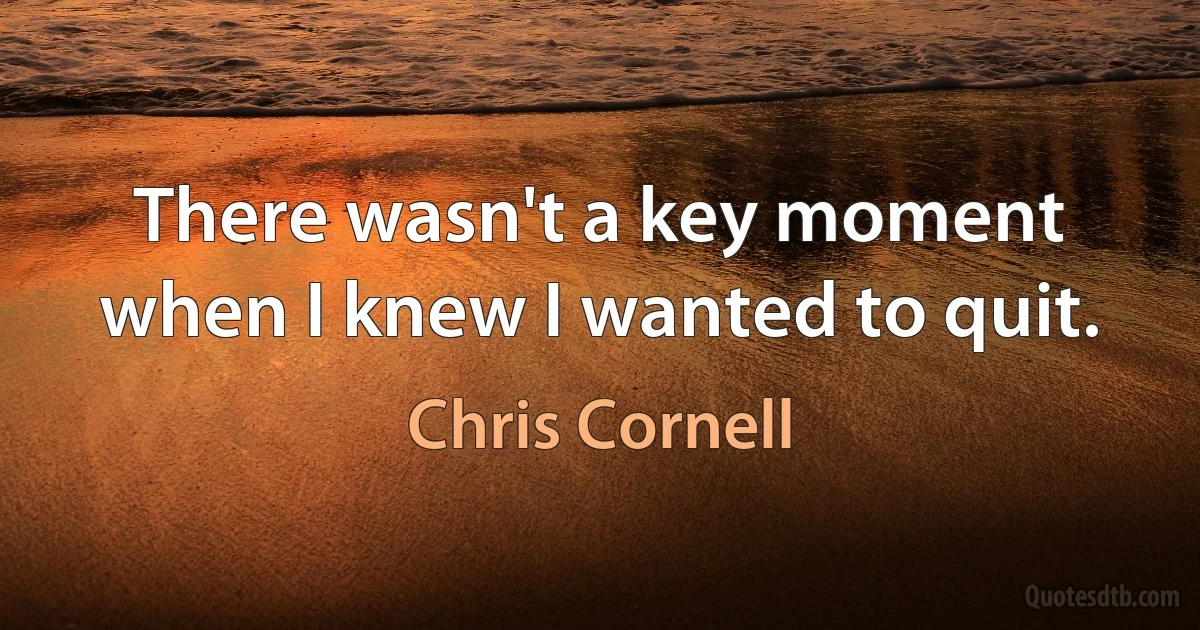 There wasn't a key moment when I knew I wanted to quit. (Chris Cornell)