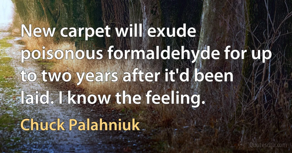 New carpet will exude poisonous formaldehyde for up to two years after it'd been laid. I know the feeling. (Chuck Palahniuk)