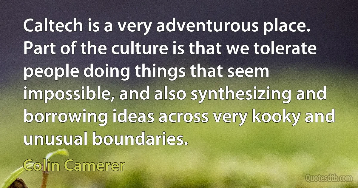 Caltech is a very adventurous place. Part of the culture is that we tolerate people doing things that seem impossible, and also synthesizing and borrowing ideas across very kooky and unusual boundaries. (Colin Camerer)