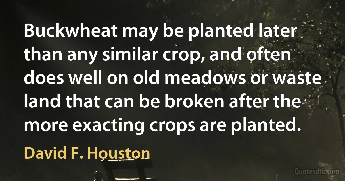 Buckwheat may be planted later than any similar crop, and often does well on old meadows or waste land that can be broken after the more exacting crops are planted. (David F. Houston)