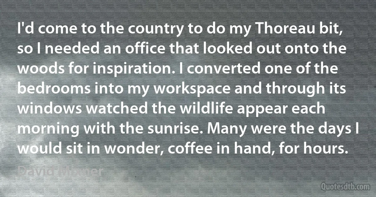 I'd come to the country to do my Thoreau bit, so I needed an office that looked out onto the woods for inspiration. I converted one of the bedrooms into my workspace and through its windows watched the wildlife appear each morning with the sunrise. Many were the days I would sit in wonder, coffee in hand, for hours. (David Mixner)