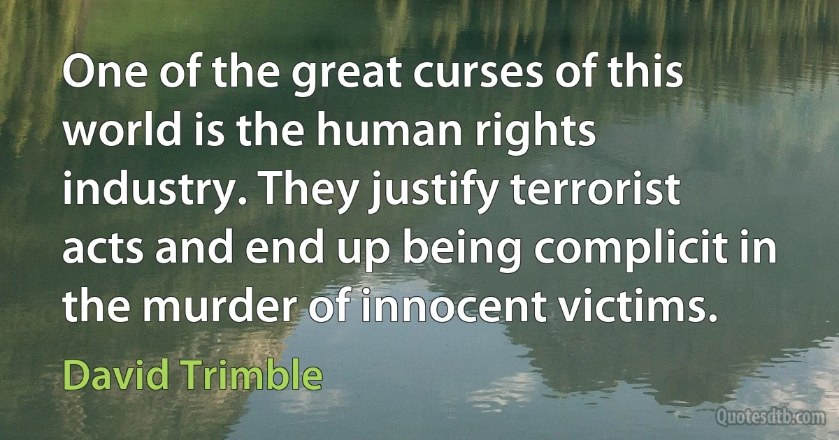 One of the great curses of this world is the human rights industry. They justify terrorist acts and end up being complicit in the murder of innocent victims. (David Trimble)