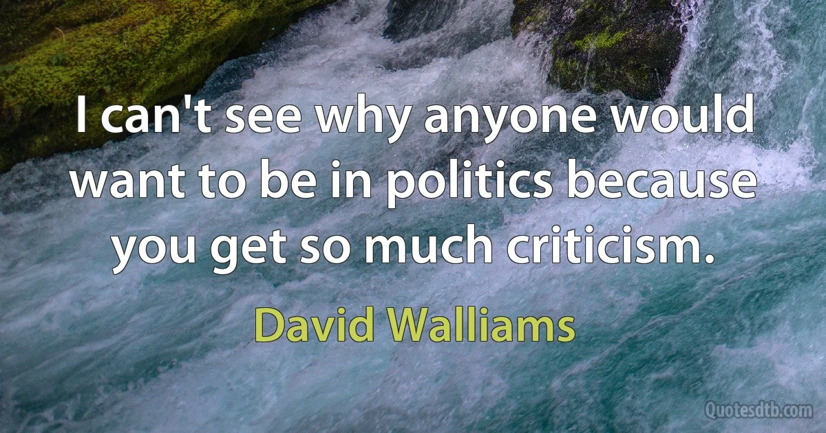 I can't see why anyone would want to be in politics because you get so much criticism. (David Walliams)