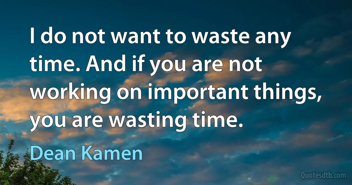 I do not want to waste any time. And if you are not working on important things, you are wasting time. (Dean Kamen)