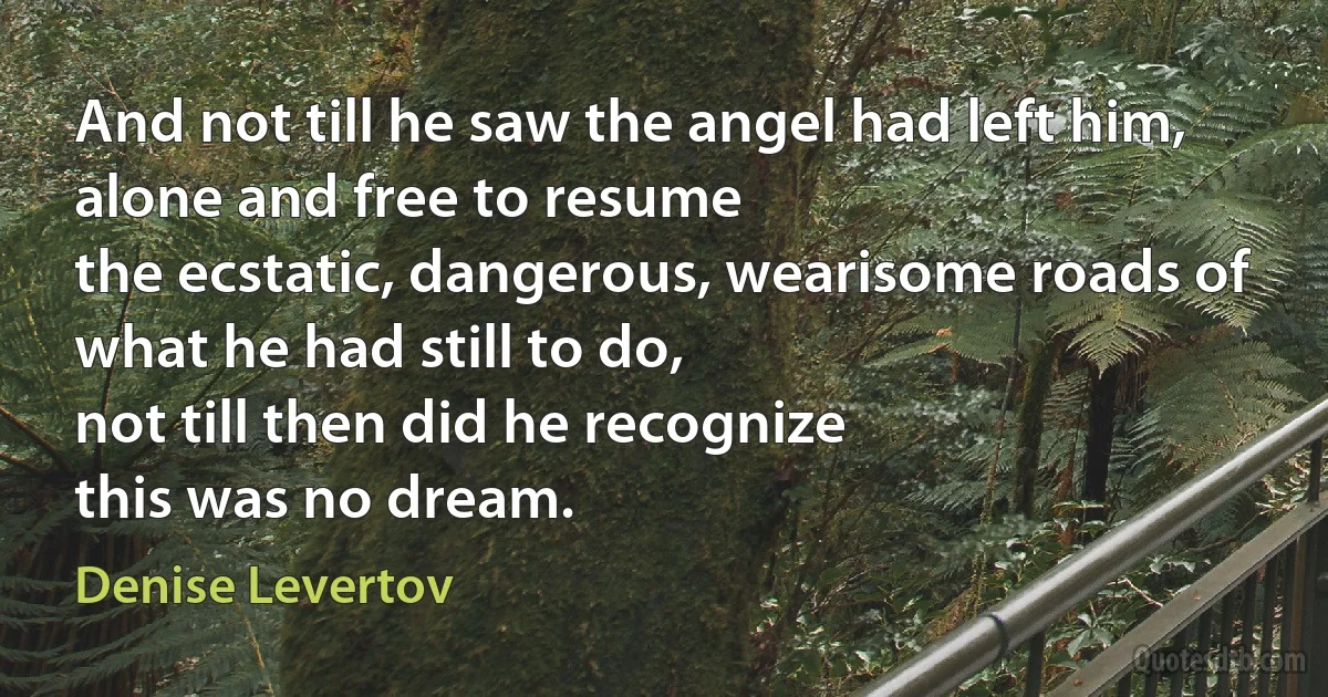 And not till he saw the angel had left him,
alone and free to resume
the ecstatic, dangerous, wearisome roads of
what he had still to do,
not till then did he recognize
this was no dream. (Denise Levertov)