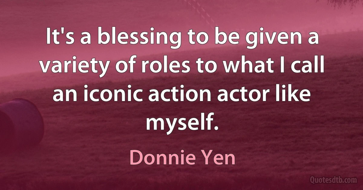 It's a blessing to be given a variety of roles to what I call an iconic action actor like myself. (Donnie Yen)