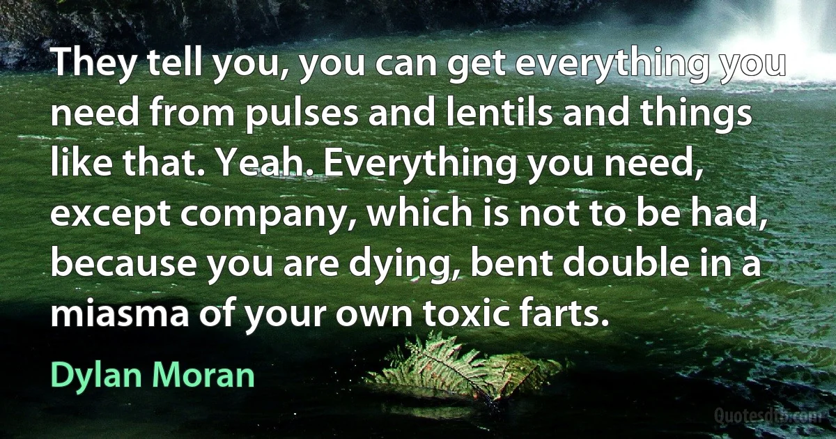 They tell you, you can get everything you need from pulses and lentils and things like that. Yeah. Everything you need, except company, which is not to be had, because you are dying, bent double in a miasma of your own toxic farts. (Dylan Moran)