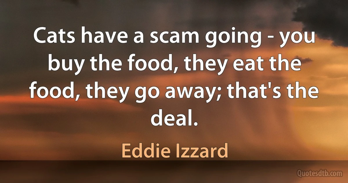 Cats have a scam going - you buy the food, they eat the food, they go away; that's the deal. (Eddie Izzard)