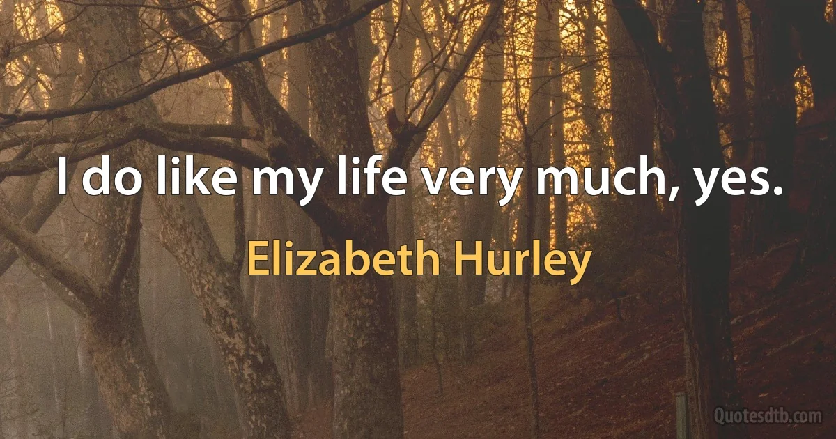 I do like my life very much, yes. (Elizabeth Hurley)