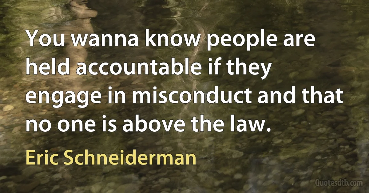 You wanna know people are held accountable if they engage in misconduct and that no one is above the law. (Eric Schneiderman)