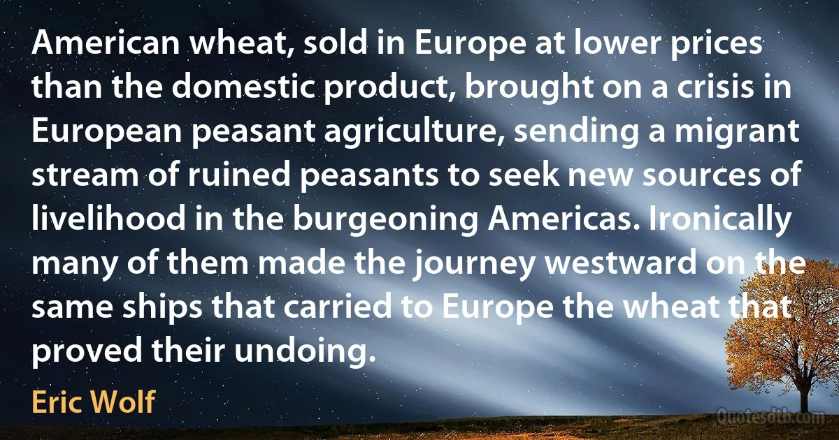 American wheat, sold in Europe at lower prices than the domestic product, brought on a crisis in European peasant agriculture, sending a migrant stream of ruined peasants to seek new sources of livelihood in the burgeoning Americas. Ironically many of them made the journey westward on the same ships that carried to Europe the wheat that proved their undoing. (Eric Wolf)