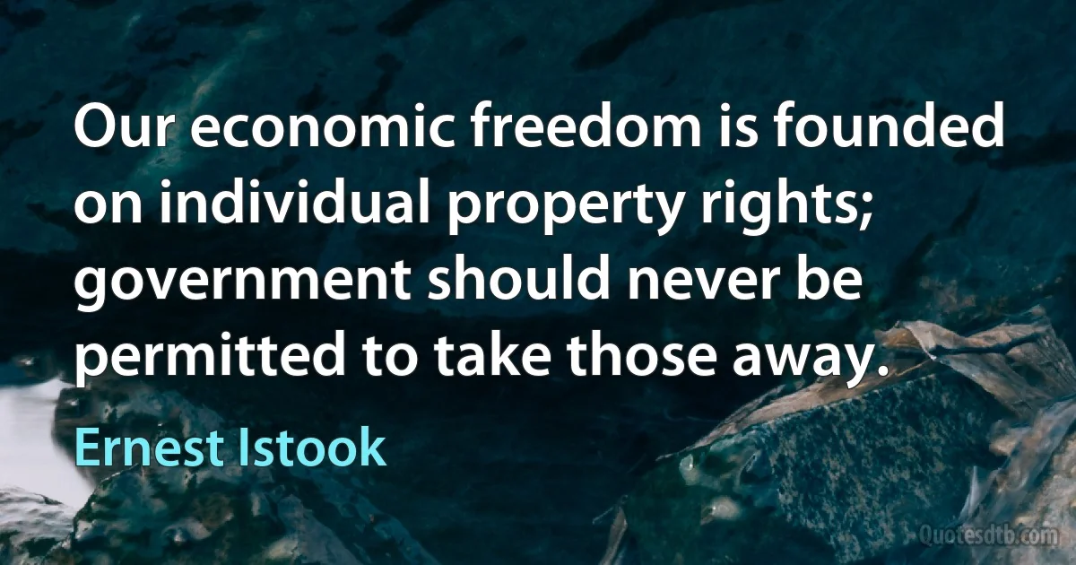 Our economic freedom is founded on individual property rights; government should never be permitted to take those away. (Ernest Istook)