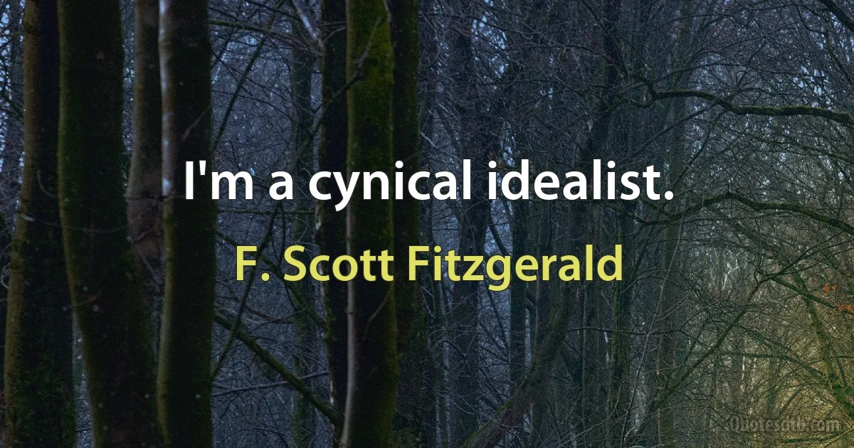 I'm a cynical idealist. (F. Scott Fitzgerald)