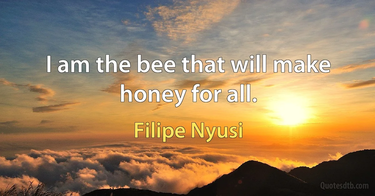 I am the bee that will make honey for all. (Filipe Nyusi)