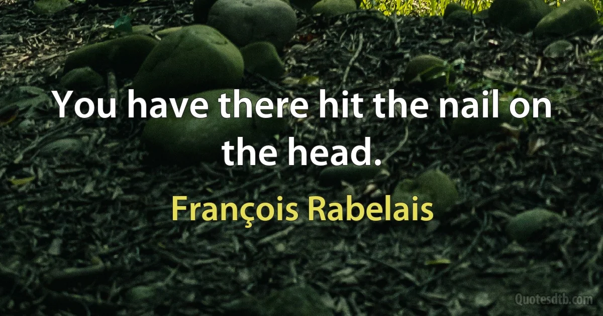 You have there hit the nail on the head. (François Rabelais)