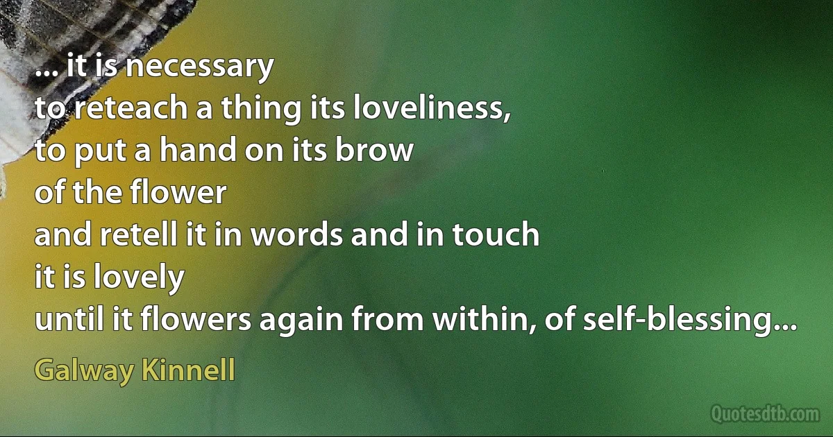 ... it is necessary
to reteach a thing its loveliness,
to put a hand on its brow
of the flower
and retell it in words and in touch
it is lovely
until it flowers again from within, of self-blessing... (Galway Kinnell)