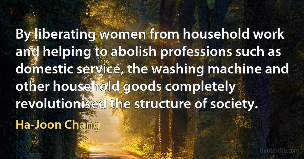 By liberating women from household work and helping to abolish professions such as domestic service, the washing machine and other household goods completely revolutionised the structure of society. (Ha-Joon Chang)