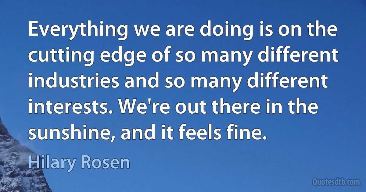 Everything we are doing is on the cutting edge of so many different industries and so many different interests. We're out there in the sunshine, and it feels fine. (Hilary Rosen)