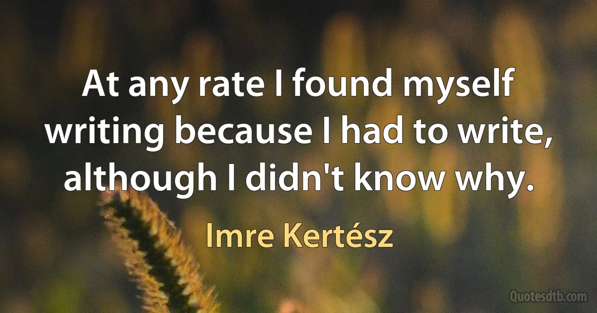 At any rate I found myself writing because I had to write, although I didn't know why. (Imre Kertész)