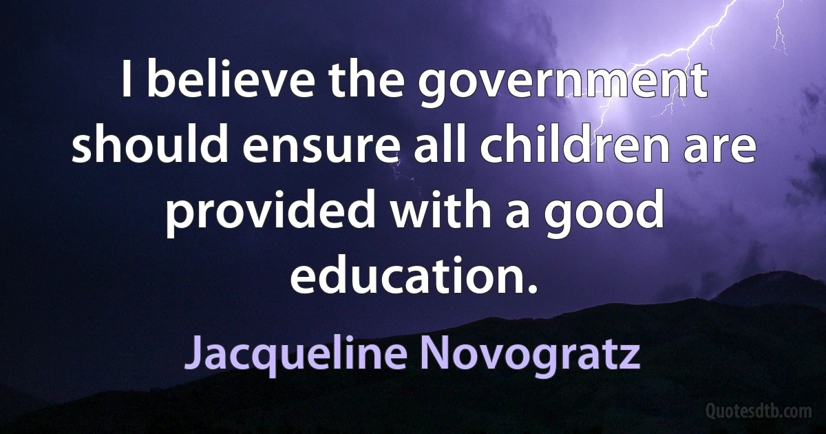 I believe the government should ensure all children are provided with a good education. (Jacqueline Novogratz)