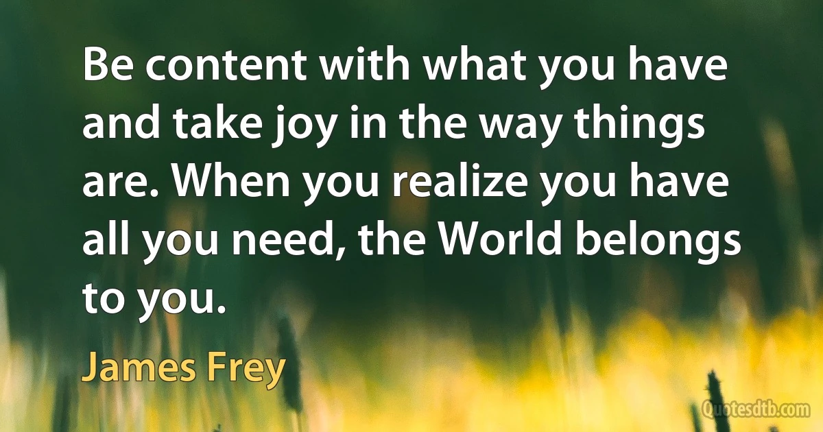 Be content with what you have and take joy in the way things are. When you realize you have all you need, the World belongs to you. (James Frey)