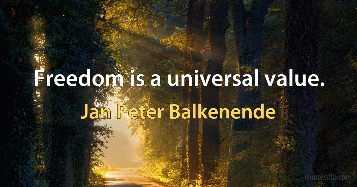 Freedom is a universal value. (Jan Peter Balkenende)