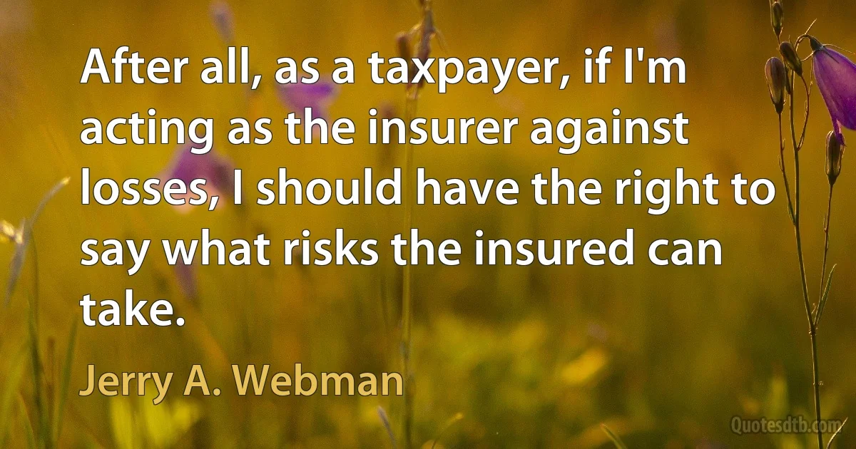 After all, as a taxpayer, if I'm acting as the insurer against losses, I should have the right to say what risks the insured can take. (Jerry A. Webman)