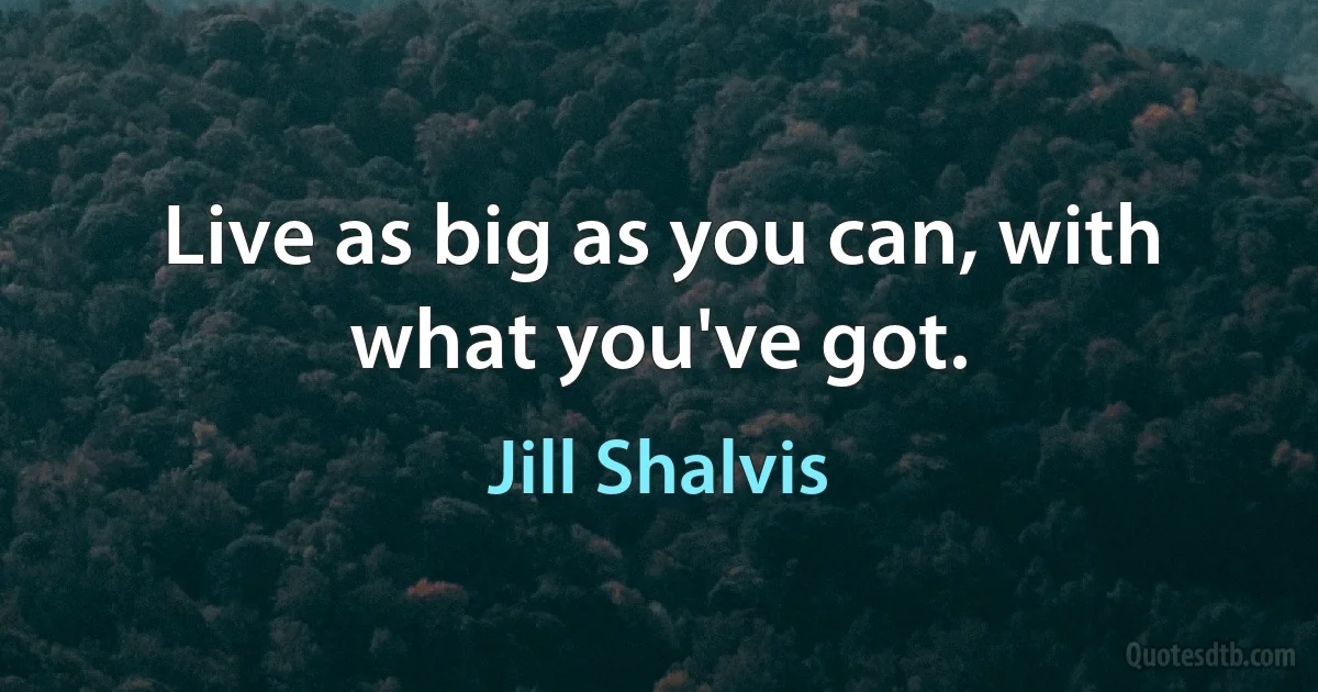 Live as big as you can, with what you've got. (Jill Shalvis)